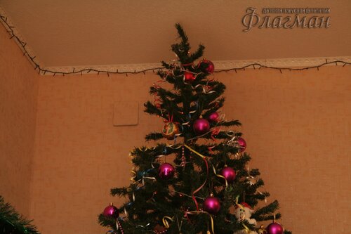 img_5639_r